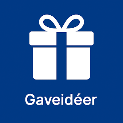 Gode ideer til boggaver